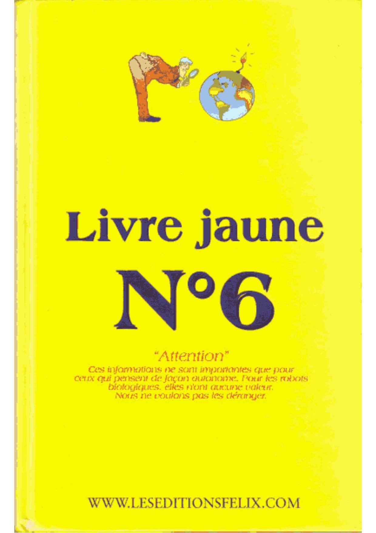 Livre Jaune N° 6
