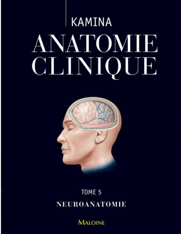 Neuroanatomie clinique
