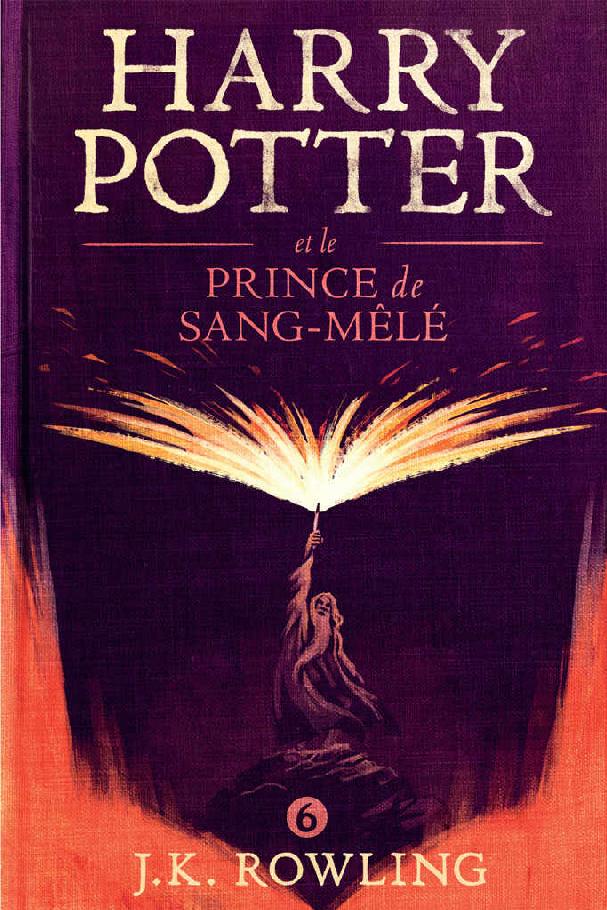 Harry Potter et le Prince de Sang-Mêlé (La série de livres Harry Potter t. 6) (French Edition)