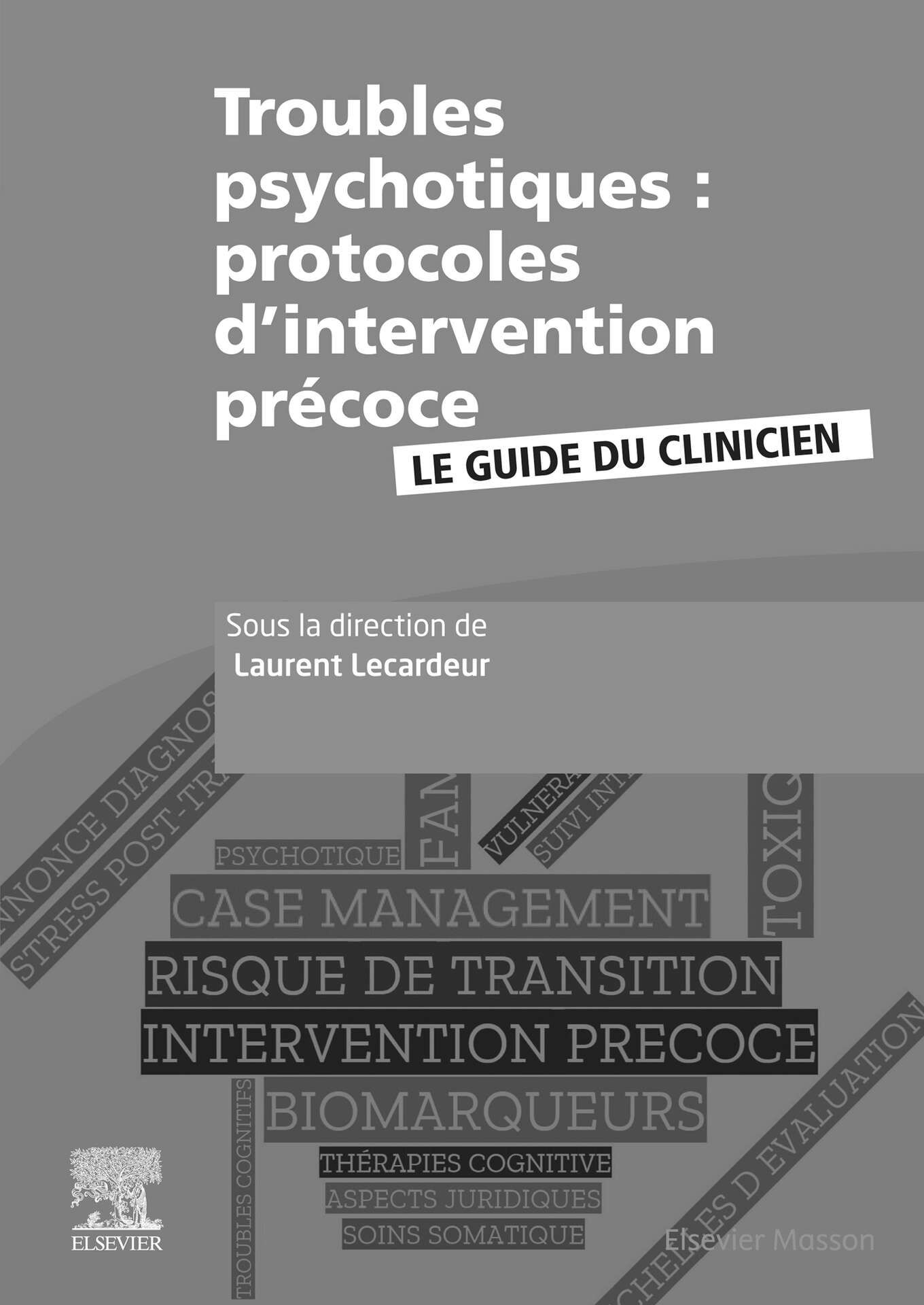 Troubles psychotiques : protocoles d’intervention précoce (Hors collection) (French Edition)