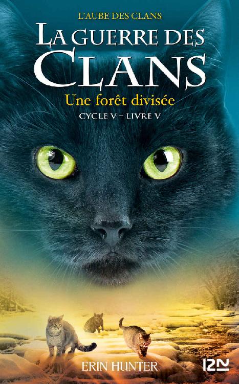 La guerre des Clans cycle V - tome 5 Une forêt divisée