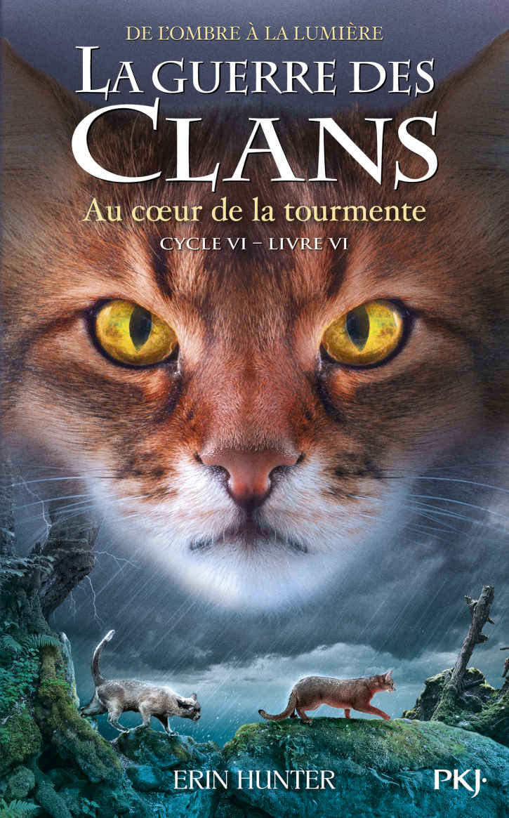 La guerre des Clans cycle VI - tome 6 Au cœur de la tourmente